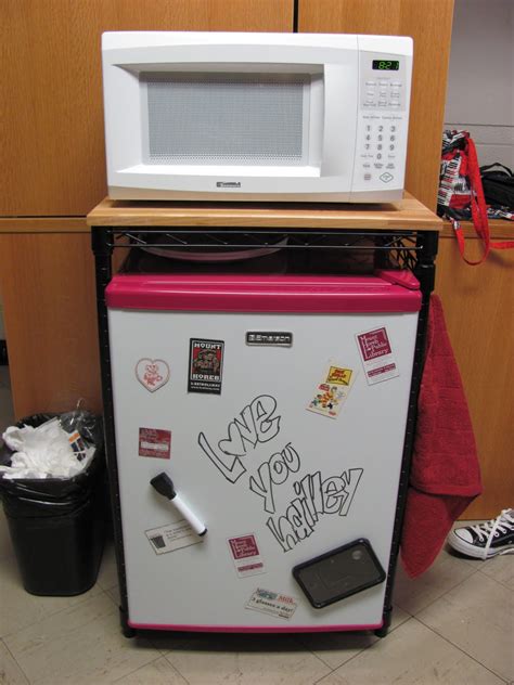 Microwave refrigerator cabinet for dorm room. Hailley's Adventure at Coe College: Tips for Freshman ...