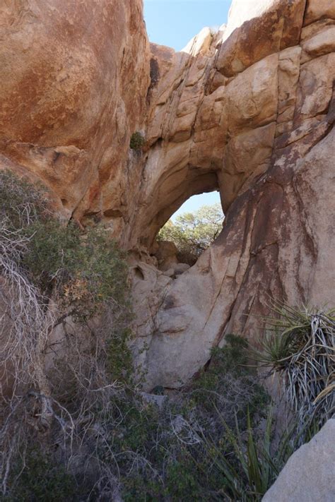 Day Hikes In Joshua Tree National Park Hiking Off Trail Pitstops For