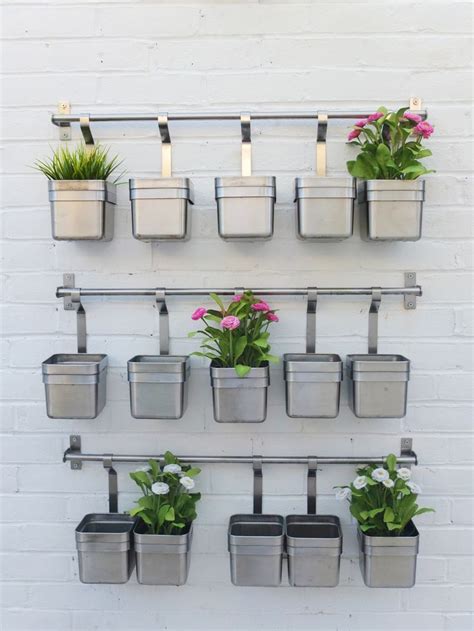 Several Potted Plants Are Hanging On A Wall