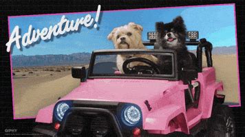 A week ago sunday new york city had a blackout and all nine television stations in the area went out for several hours. Magi Adventure Of Sinbad GIFs - Find & Share on GIPHY