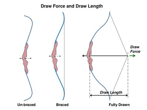 Design Of Limb Of A Takedown Recurve Bow
