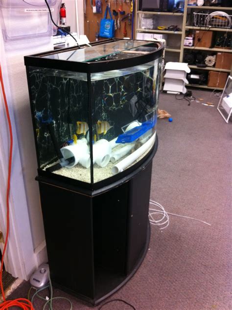 36 Gallon Bowfront With Stand Lower Price 75 Hardware Austin Reef