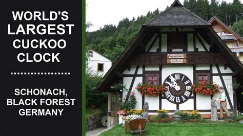 Worlds Largest Cuckoo Clock Schonach Black Forest Germany Youtube