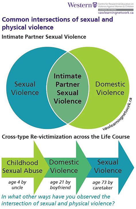 Intimate Partner Sexual Violence Power And Control Wheel Learning