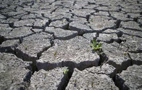 Desertification And Drought Day The Threat Of Parched Land Greenpage