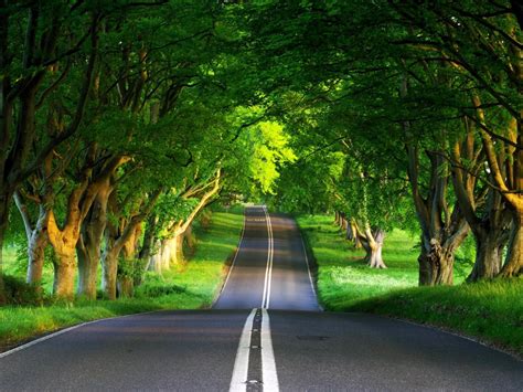 Wallpaper Green Road