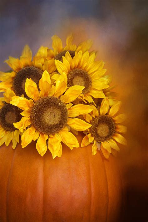 Pumpkin And Sunflowers Photograph By Lynn Bauer Pixels