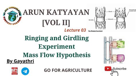 Ringing And Girdling Experiment Mass Flow Theory Arun Katyayan Go