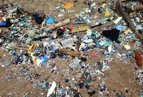 Hawaii Plastic Pollution Courthouse News Service