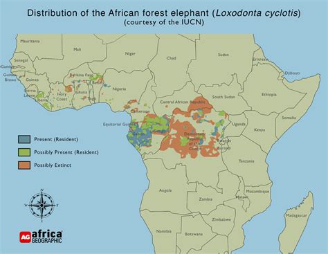 forest-elephant-map - Africa Geographic