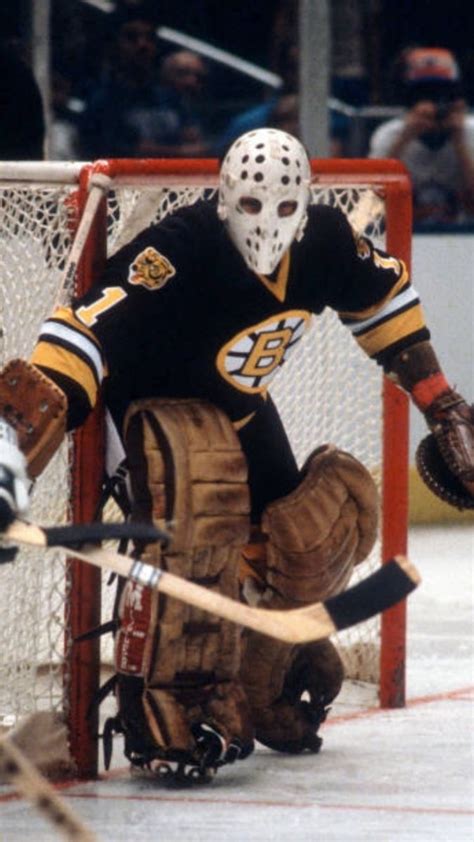 Pin By Jan Marek On Hokej Boston Bruins Hockey Bruins Hockey Hockey