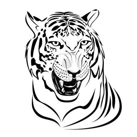 Aprende con este dibujo de tigre paso a paso Dibujos de tigre para colorear