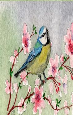 Blue Tit Bird On Cherry Blossom Tree Collection