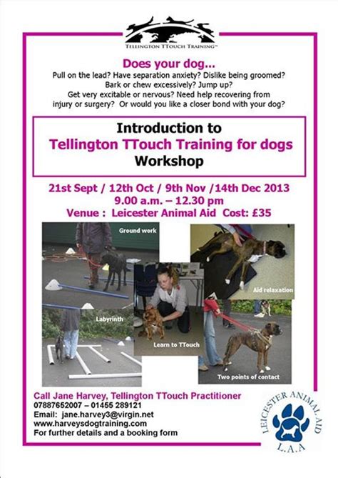Intro To Tellington Ttouch Regans Dog Training