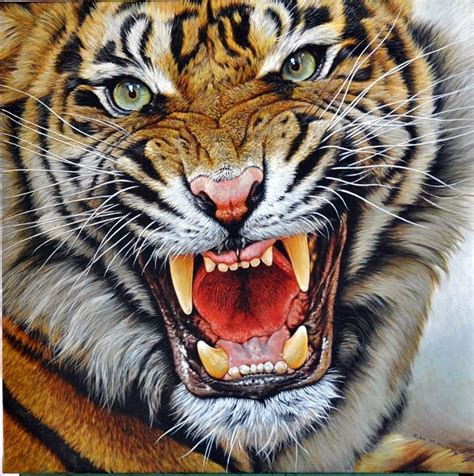 Original Tiger Paintings Tiger Painting Big Cats Art Tiger Species