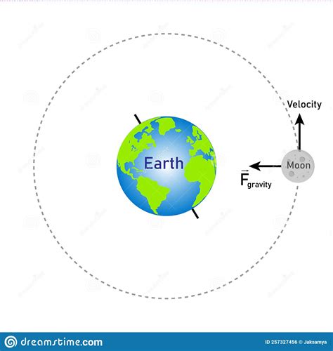 The Moon Moves In A Circular Orbit Around Earth Diagram Vector