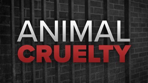 Woman Charged With 44 Counts Of Animal Cruelty Wnky News 40 Television