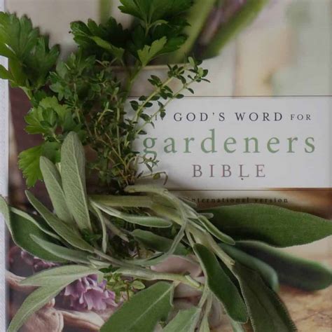 Top 10 Gardening Verses Of The Bible Garden In Delight