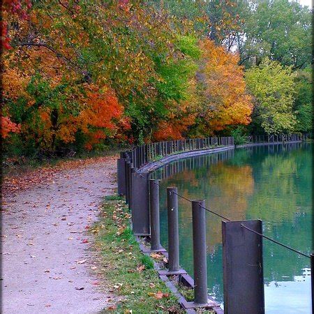 Lots of places to park near picnic benches, in shade, paved trails, the boardwalk. Silver Springs State Park (Yorkville) - 2021 All You Need ...