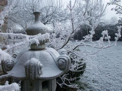 Jardin Japonais Sous La Neige Outdoor Japan Snow