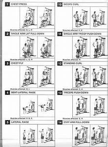 Weider Pro 6900 Exercise Chart Healthy Life Pinterest Exercise