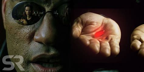 The Matrix What Taking The Red Pill Actually Does Screen Rant