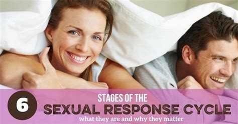 6 Do You Know The Stages Of The Sexual Response Cycle Bare Marriage