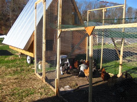Poultry Farming How To Start Farm House