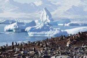 Antartika merupakan zona bebas tanpa kepemilikan oleh negara manapun, walaupun masih terdapat beberapa negara yang berusaha mengajukan klaim atas wilayah. Nama-nama Samudera di Dunia: Batas dan Karakteristiknya ...