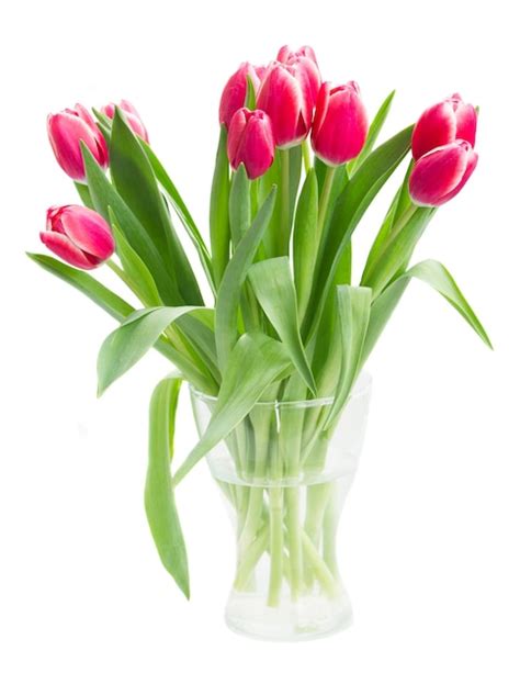 Premium Photo Bunch Of Mauve Tulip Flowers In Vase Isolated On White Background