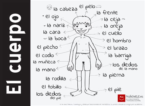 Diferentes Recursos Para Practicar Y Aprender El Vocabulario Del Cuerpo Humano Nivel A2b1