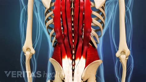 Immediate Treatment For A Back Muscle Strain