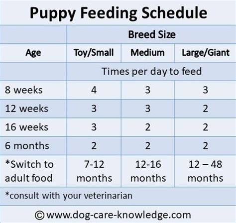 During the first four days of life, the newborn puppies' box and external environment should be maintained at 85° to 90°f (29.4° to 32.2°c). Simple Puppy Feeding Schedule You Absolutely Need | Puppy ...