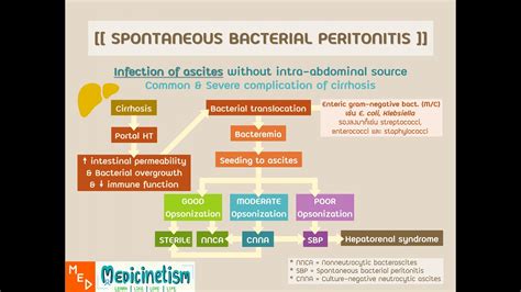 Spontaneous Bacterial Peritonitis Sbp Youtube
