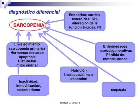 First pain in epigastric or ombilical region or more rarely all over the abdomen (in children), after a couple of. Sarcopenia MINSAL