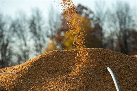 Crop Trader Adm To Close Nebraska Corn Plant As Grain Piles Up Crain