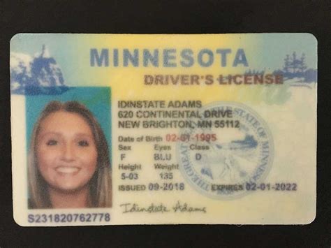 Minnesota Drivers License Template Nsabuyer