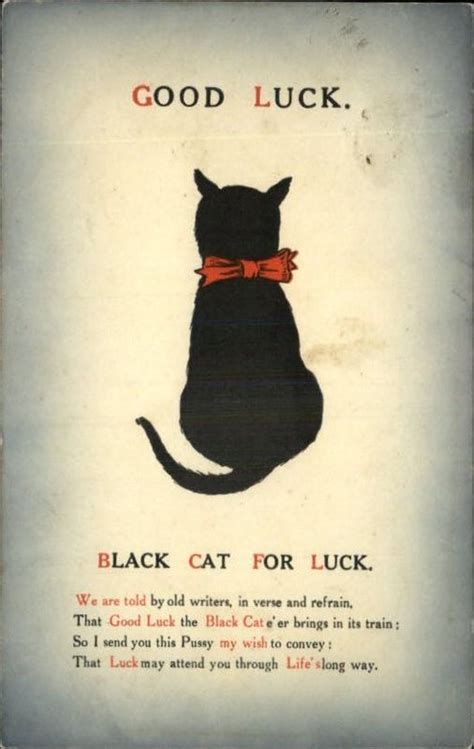 Are Cats Good Luck
