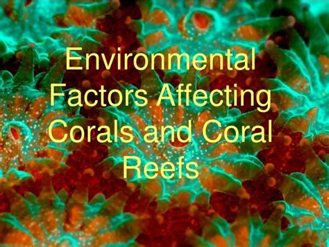 Ppt Environmental Factors Affecting Corals And Coral Reefs Powerpoint
