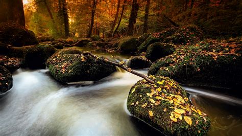 Autumn Stones Moss Stream Leaves Forest Wallpaper 1920x1080 Full