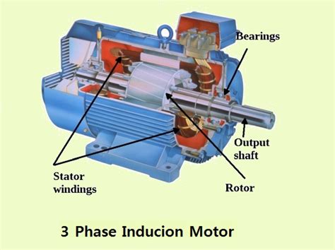 Explain Working Principle Of Three Phase Induction Motor