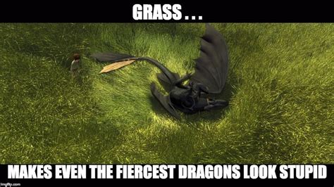 Httyd Memes How To Train Your Dragon How Train Your Dragon How To