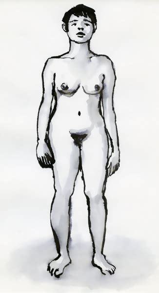 Cirkus Eros Image Gallery Nude Art Sketches