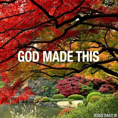 Beautiful God Creation Quotes Gods Creation