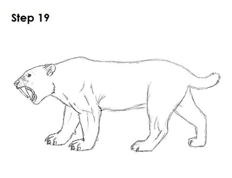 Sabre cat tooth is an ingredient in the elder scrolls v: How to Draw a Smilodon (Saber-Tooth Tiger)