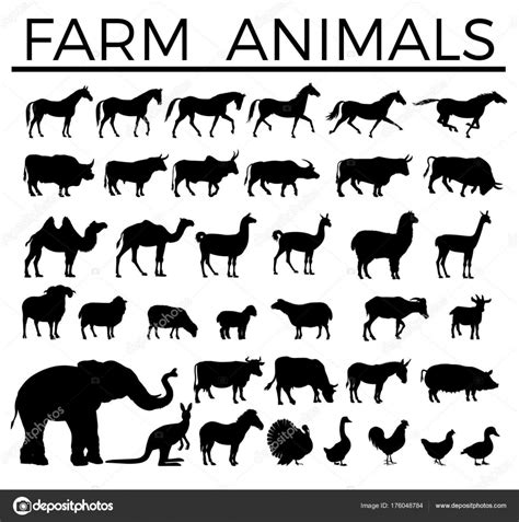 Farm Animals Silhouettes — Stock Vector © Newgena 176048784