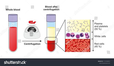 13 Fractionating Separating Whole Blood Images Stock Photos And Vectors