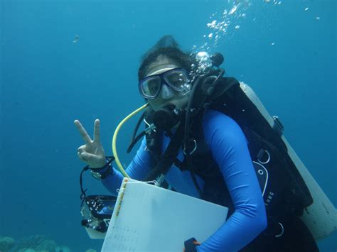 So What Does A Marine Biologist Do Exactly The Islander Girl