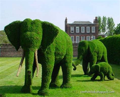 Topiary Art Karya Seni Taman Dan Tanaman Yang Unik Indah Dan Menakjubkan