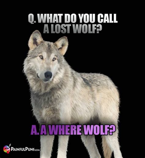 Gray Wolf Jokes Pack Puns Howl Humor 2
